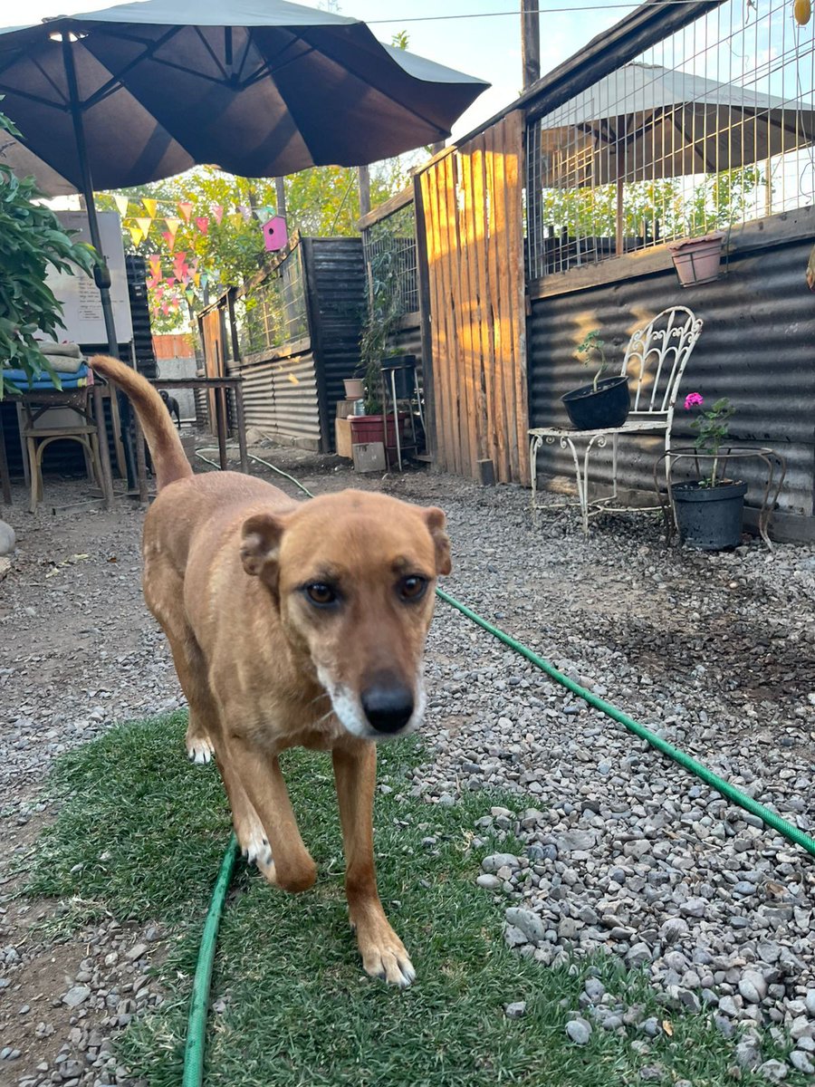 Ximena A.G tweet media