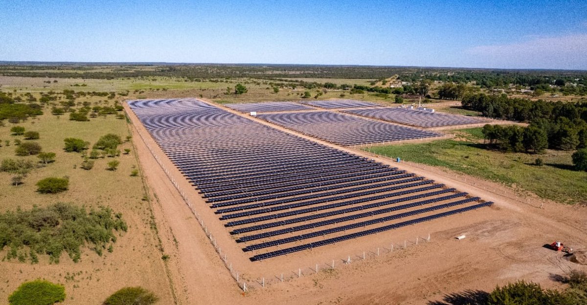 Fernanda Alonso tweet media