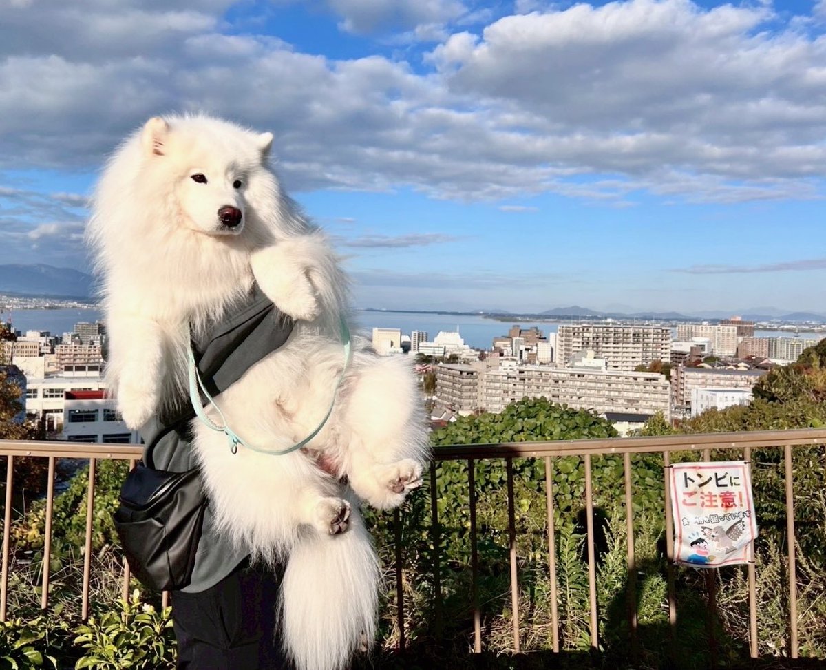 おはダッツです🐻‍❄️☀️ 本日のモフトニンをどうぞ！ この間の旅行