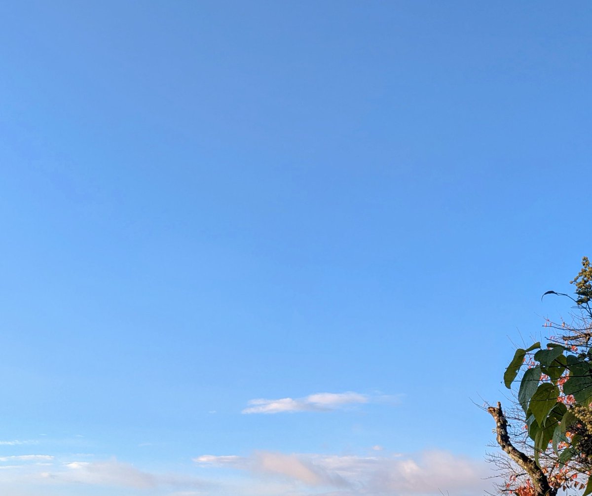 ☆青空☆ 僕が見たかった青空、7thシングルのタイトル決定 雪がきらめくはかない