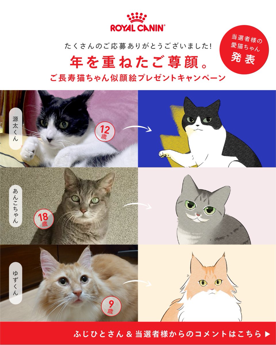 もみちゃん🐈️📚️🍺 (@momimomichin) / Posts / X