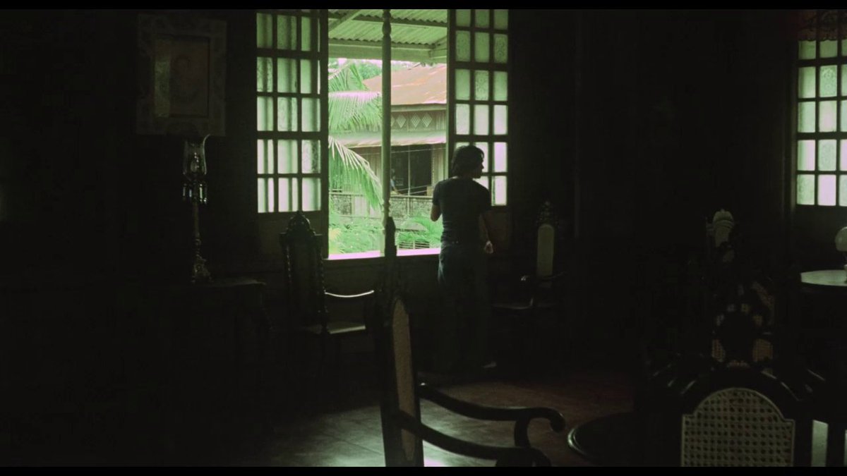 CineScope tweet media