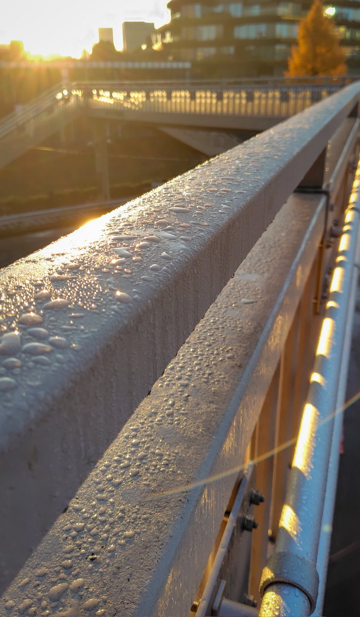 今朝の雨上がり
夜の間に降った雨が歩道橋に残っていました。きょうは晴れそうですね
 #写真が好きな人と繋がりたい #キリトリセカイ #東京カメラ部 #原宿 #神園町　#渋谷区　＃スマホ写真