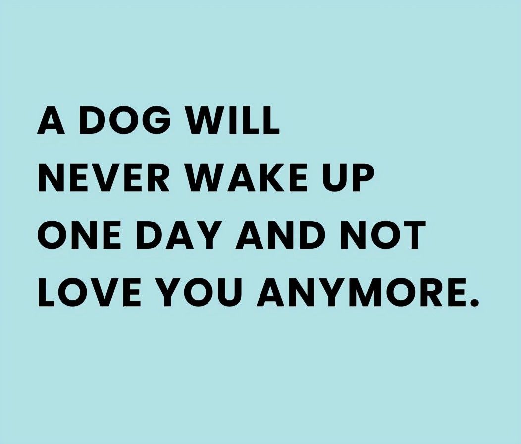 <a href="/Yoda4ever/">𝕐o̴g̴</a>