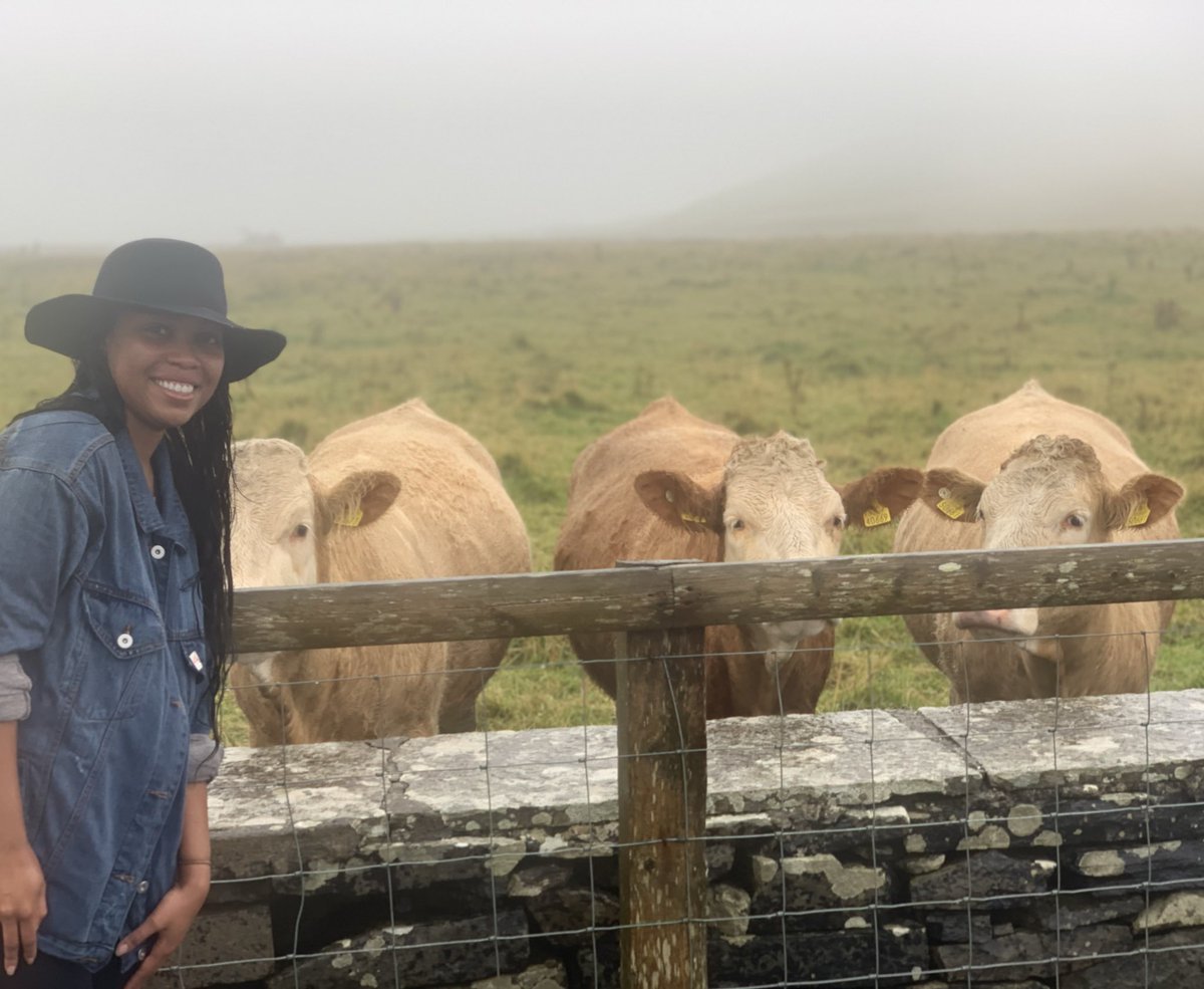 Big Took tweet media