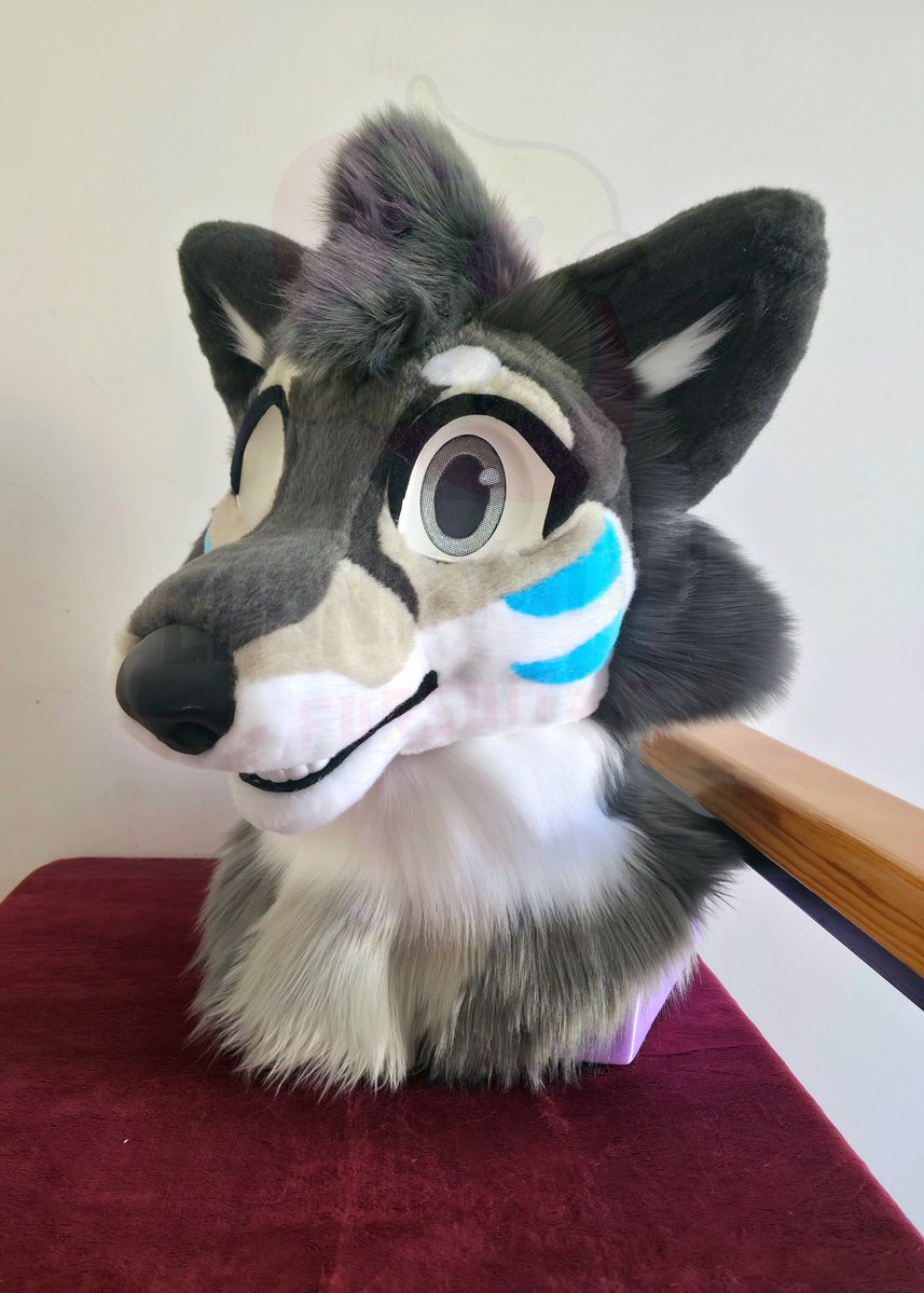 Chonky_Tiel's tweet image. 🇺🇸:  Mikko is done! 💕

Mini Partial fursuit commission 🐦
Head on foam base

Ready to travel home 🇵🇭

🇲🇽: Mikko está terminado! 💕

Comision fursuit mini parcial con furhead en base de esponja! 🐦

Listo para su largo camino a casa 🇵🇭

#Fursuit #Chonkytielcreations #chonkytiel