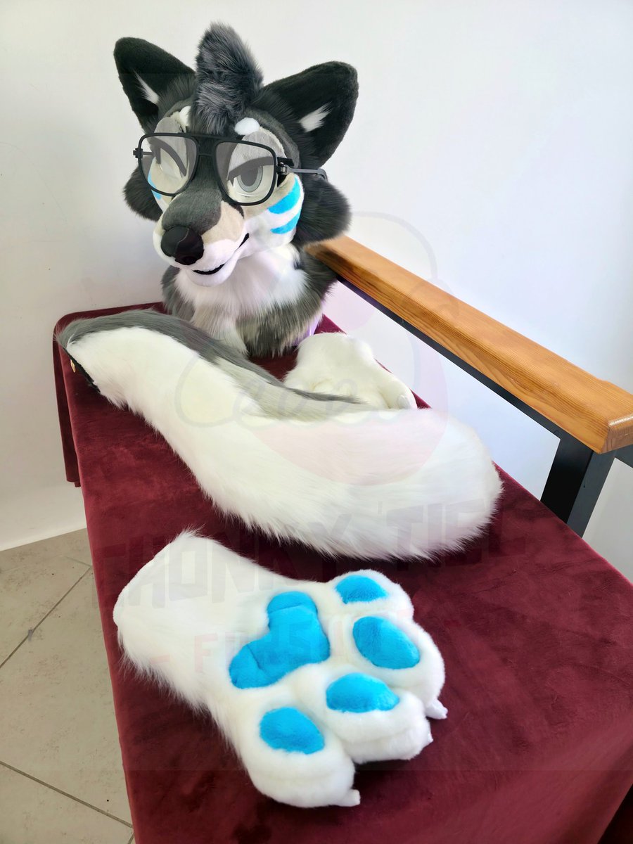 Chonky_Tiel's tweet image. 🇺🇸:  Mikko is done! 💕

Mini Partial fursuit commission 🐦
Head on foam base

Ready to travel home 🇵🇭

🇲🇽: Mikko está terminado! 💕

Comision fursuit mini parcial con furhead en base de esponja! 🐦

Listo para su largo camino a casa 🇵🇭

#Fursuit #Chonkytielcreations #chonkytiel