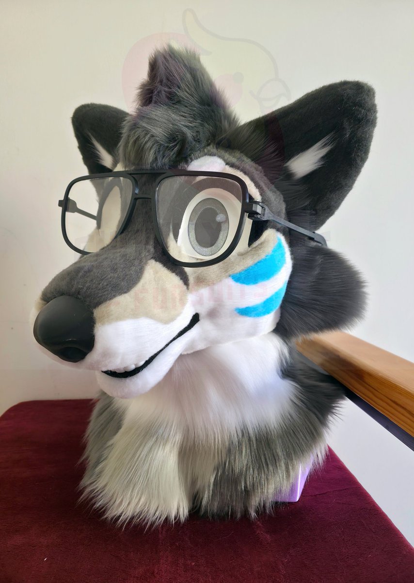 Chonky_Tiel's tweet image. 🇺🇸:  Mikko is done! 💕

Mini Partial fursuit commission 🐦
Head on foam base

Ready to travel home 🇵🇭

🇲🇽: Mikko está terminado! 💕

Comision fursuit mini parcial con furhead en base de esponja! 🐦

Listo para su largo camino a casa 🇵🇭

#Fursuit #Chonkytielcreations #chonkytiel