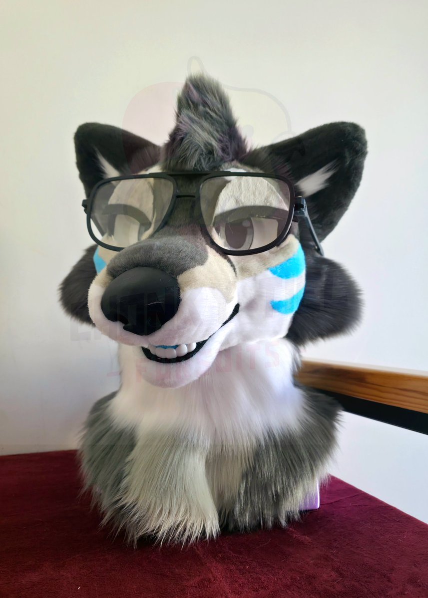 Chonky_Tiel's tweet image. 🇺🇸:  Mikko is done! 💕

Mini Partial fursuit commission 🐦
Head on foam base

Ready to travel home 🇵🇭

🇲🇽: Mikko está terminado! 💕

Comision fursuit mini parcial con furhead en base de esponja! 🐦

Listo para su largo camino a casa 🇵🇭

#Fursuit #Chonkytielcreations #chonkytiel