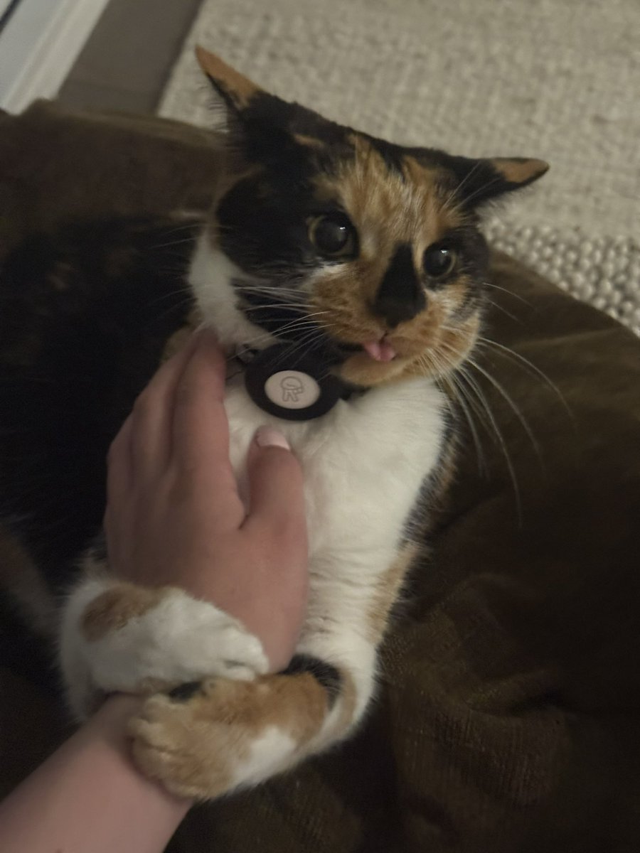 crimmybaby's tweet image. BLEEHHHH