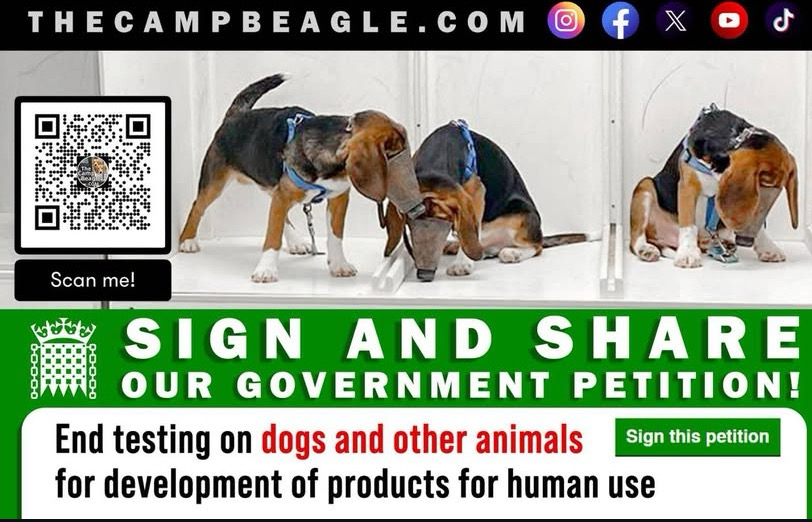 Karen Merrett tweet media