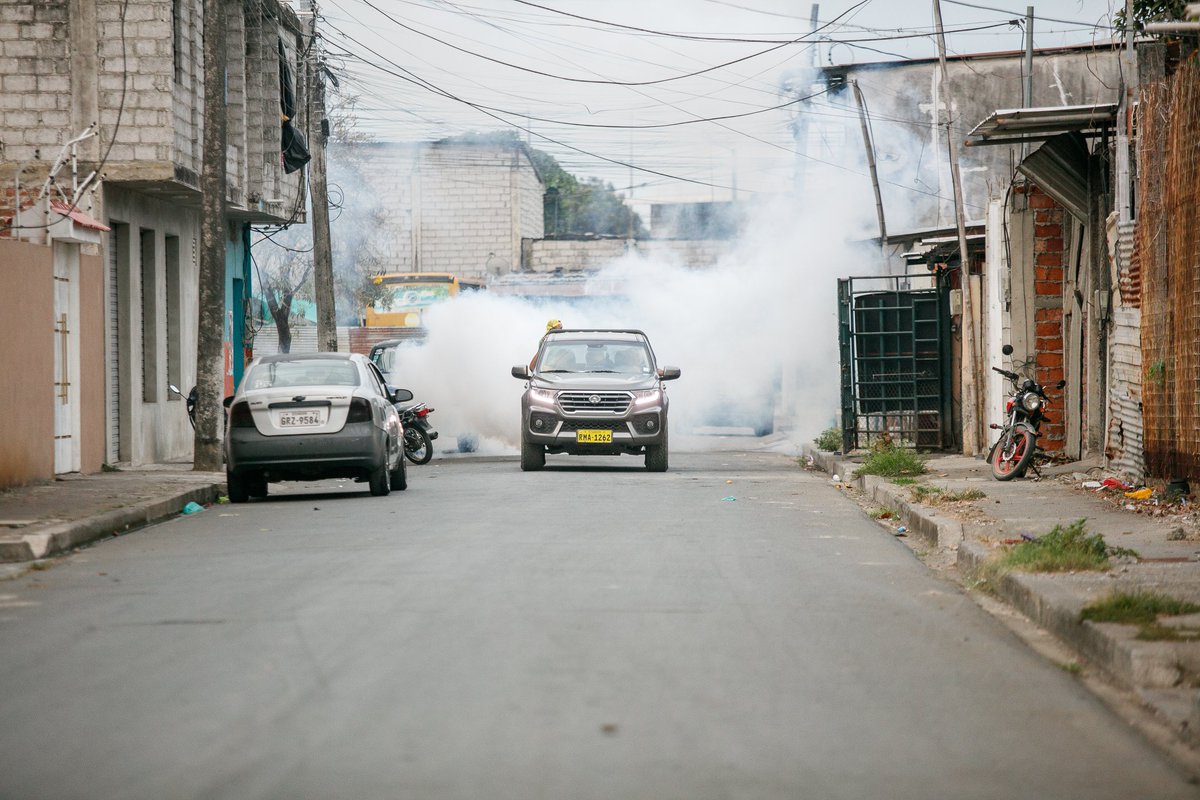 alcaldiabbhy's tweet image. 🦟 La campaña #TodosContraElDengue llegó a la parroquia #ElSalto, donde realizamos una jornada de #Fumigación para proteger la salud de nuestros ciudadanos. 🫡

▶️ facebook.com/share/p/1CfJhj…

#AccionesQueTransformanBabahoyo 
#BabahoyoPreviene