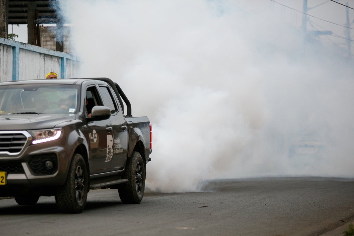 alcaldiabbhy's tweet image. 🦟 La campaña #TodosContraElDengue llegó a la parroquia #ElSalto, donde realizamos una jornada de #Fumigación para proteger la salud de nuestros ciudadanos. 🫡

▶️ facebook.com/share/p/1CfJhj…

#AccionesQueTransformanBabahoyo 
#BabahoyoPreviene