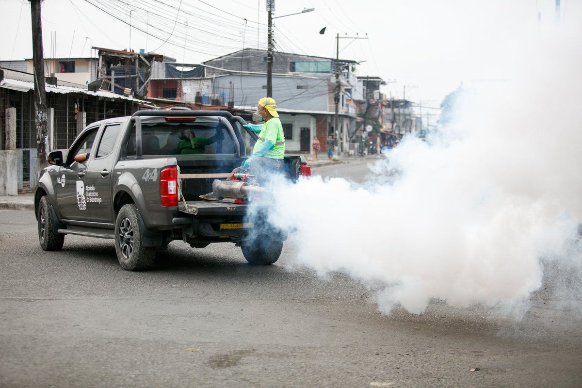 alcaldiabbhy's tweet image. 🦟 La campaña #TodosContraElDengue llegó a la parroquia #ElSalto, donde realizamos una jornada de #Fumigación para proteger la salud de nuestros ciudadanos. 🫡

▶️ facebook.com/share/p/1CfJhj…

#AccionesQueTransformanBabahoyo 
#BabahoyoPreviene