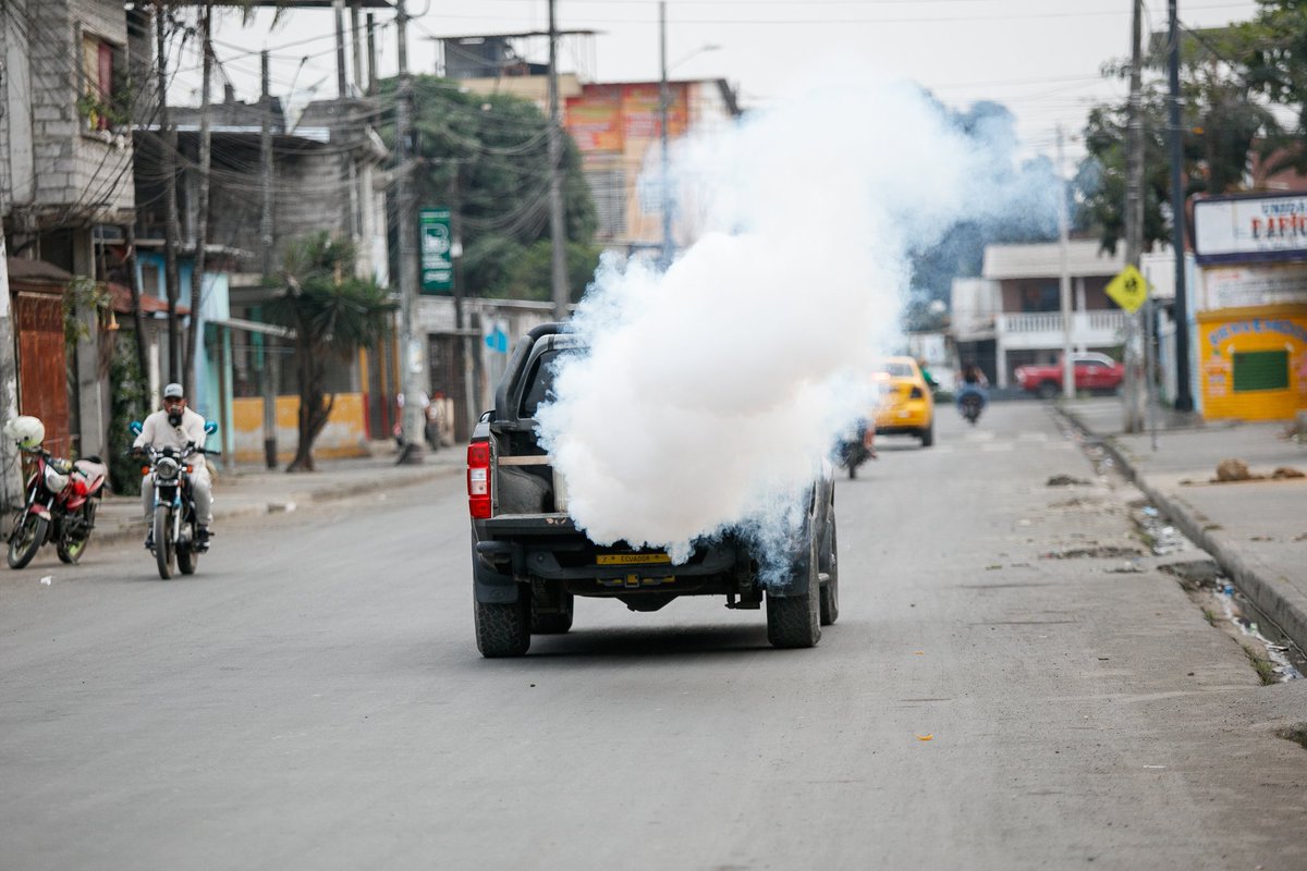 alcaldiabbhy's tweet image. 🦟 La campaña #TodosContraElDengue llegó a la parroquia #ElSalto, donde realizamos una jornada de #Fumigación para proteger la salud de nuestros ciudadanos. 🫡

▶️ facebook.com/share/p/1CfJhj…

#AccionesQueTransformanBabahoyo 
#BabahoyoPreviene
