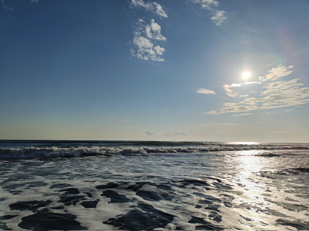 朝練#43終了、ホゲ😩
晴れ、追風、凪。昨日とは違うとこに来てみたけど、何もなし。鳥も旋回して過ぎるだけ。