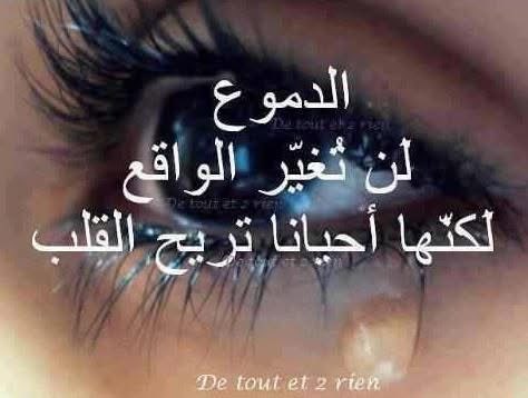 alrbisaleh's tweet photo. https://t.co/3pTjEUz2bK