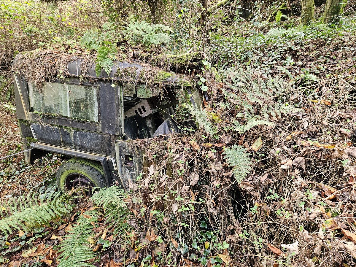 Found a fixer upper...😬😂