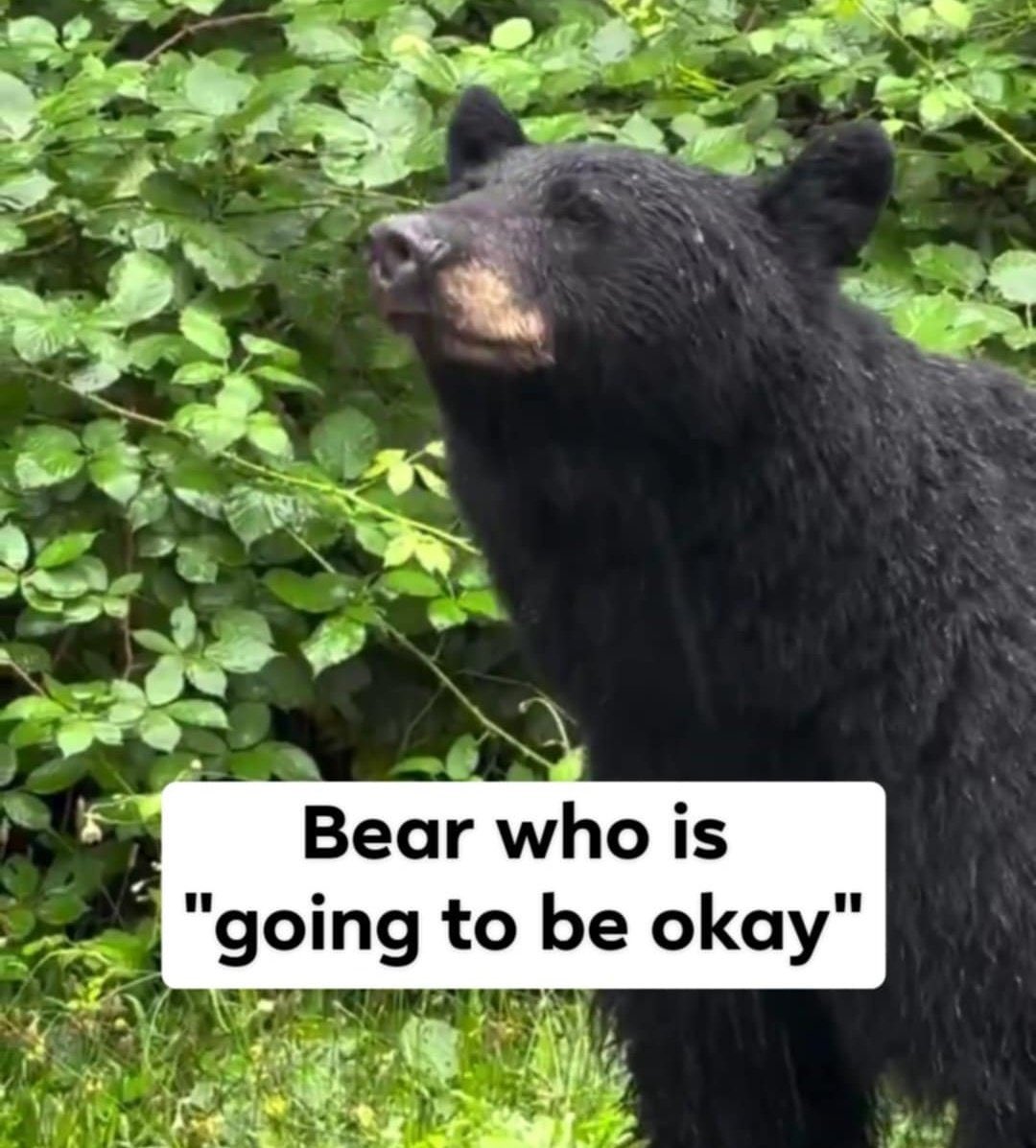 I can’t wait for the day someone loves me