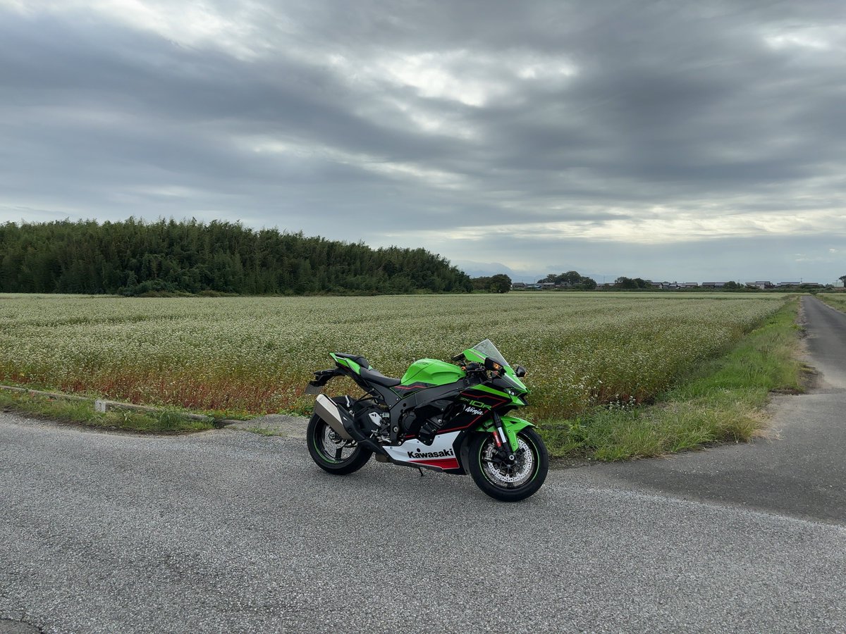 おはようございます。 今日も一日ご安全に🐨