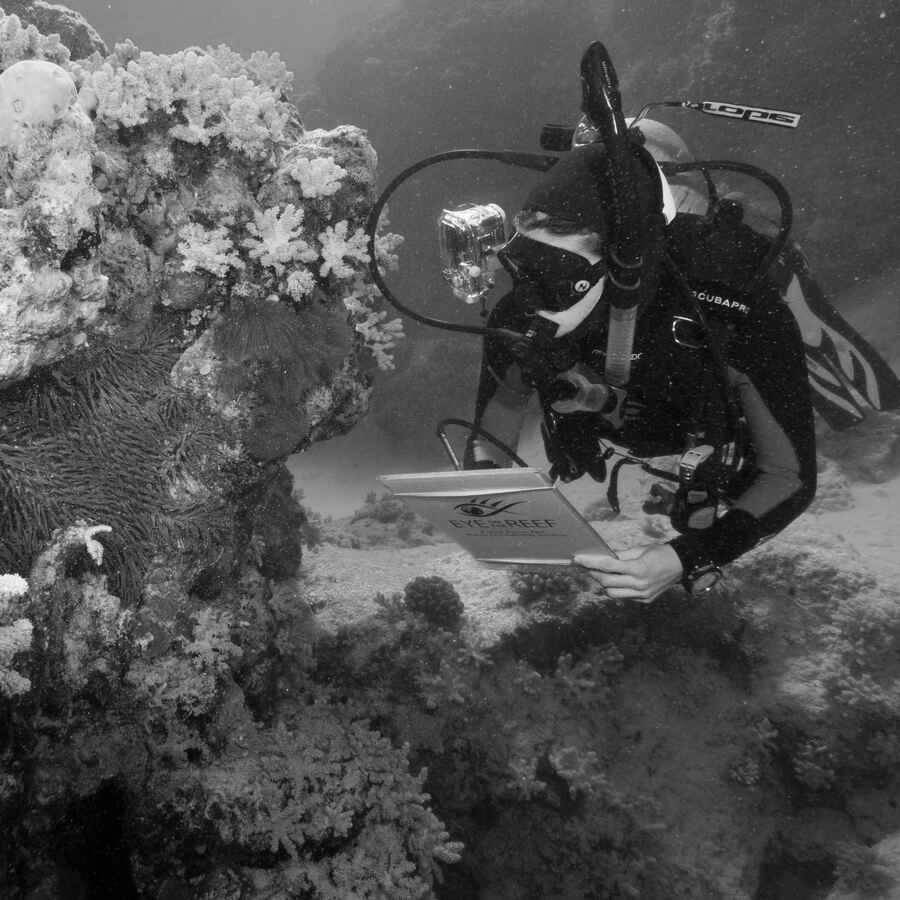 TechnologyOne's tweet image. .@gbrmarinepark now have a greater focus on value for money in procurement, freeing resources for investment in reef protection initiatives. Discover how our purpose-built government ERP solution transformed the way they work: technology1.com/resources/case…

#GreatBarrierReef