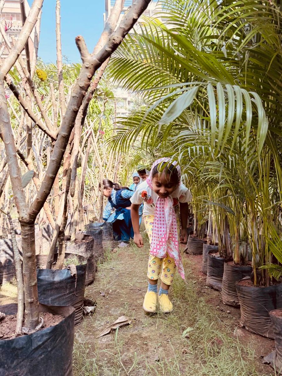 Bohras_India's tweet photo. The day at Sadabahar Nursery, #Panvel was filled with hands-on learning, teamwork, and plenty of excitement—planting a tree, picking fruits and vegetables, and connecting with nature. 
#nurturingtomorrow #planting #dawoodibohras 

@Dawoodi_Bohras @ProjectRiseDB https://t.co/FFr67Z4KHk