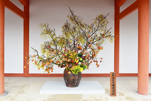 いけばな嵯峨御流 (@SagagoryuInfo) / Posts / X