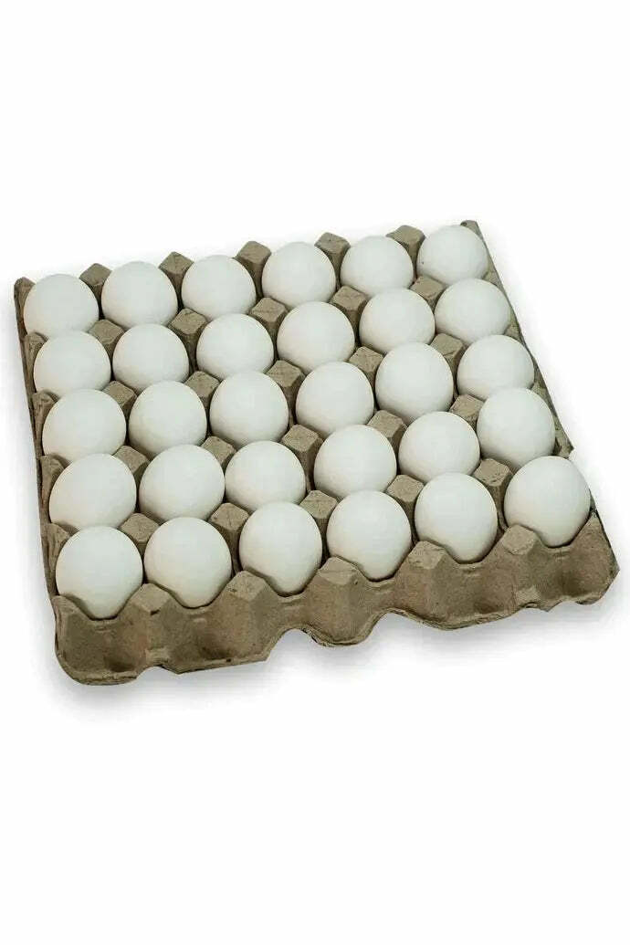 Murukali's tweet image. Discover quality and convenience with our versatile egg trays and delicious Fresh Poultry Viennas. Elevate your kitchen essentials today. Shop now for freshness you can taste! #Eggs #PoultryProducts

Shop Now murukali.com