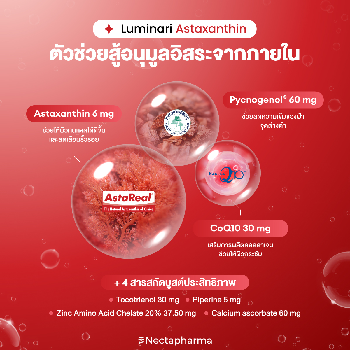 nectapharma's tweet image. ผิวโทรม ดูแก่ก่อนวัย เพราะอนุมูลอิสระ
ดูแลผิวจากภายในด้วย Luminari Astaxanthin❤️
✔️ ริ้วรอยตื้นขึ้น
✔️ จุดด่างดำดูจางลง
✔️ ผิวยืดหยุ่นมากขึ้น
✔️ ลดการสูญเสียน้ำในผิว

อย่าให้ผิวแก่ก่อนวัย!
🛒s.shopee.co.th/2LJWV01upl

💥สนใจรับโปร สอบถามเพิ่มเติม
หรือปรึกษาเภสัชกร ได้ที่…