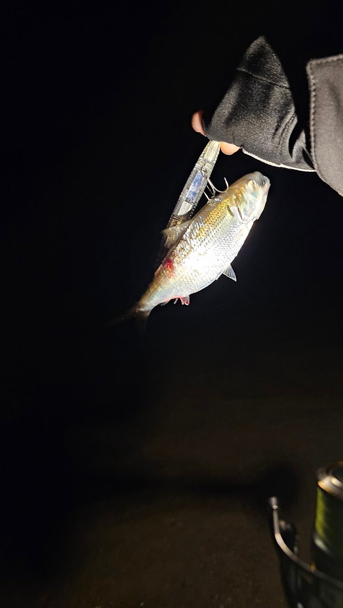 中馬貴寛 tweet media