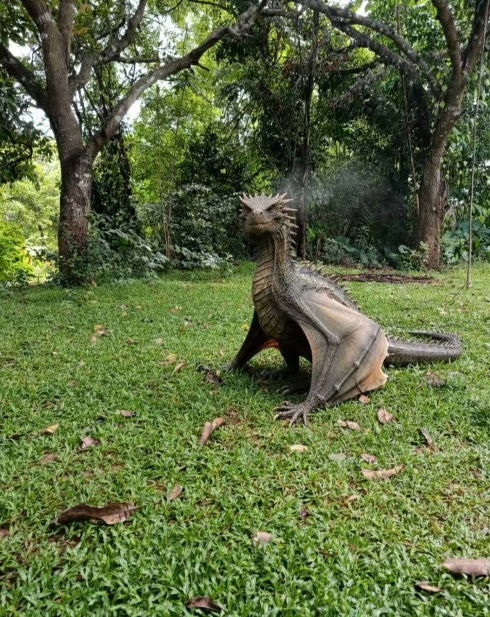 Este perrito se apareció hoy en el patio de la casa, no se que hacer con él, que alguien me ayude 🙏