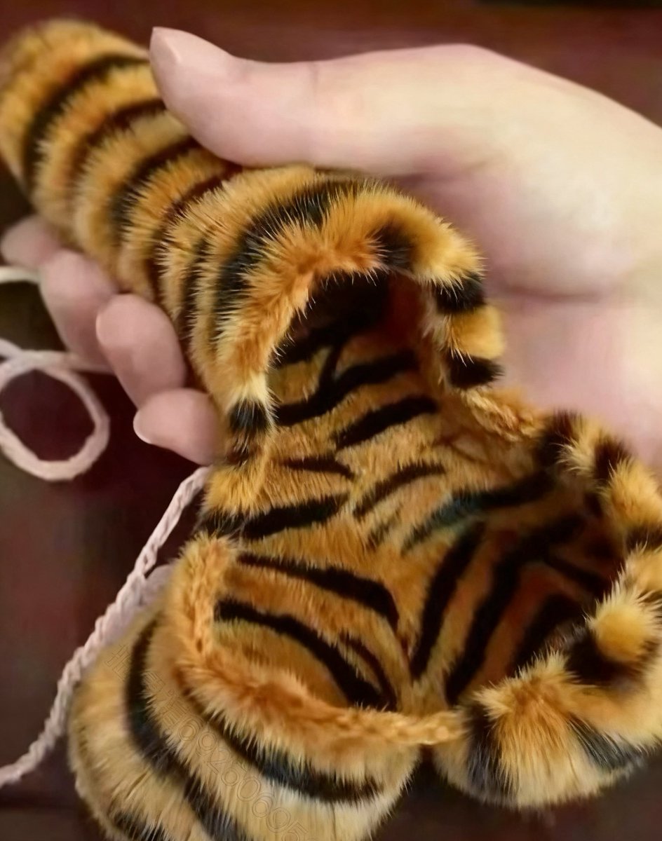 lxn2umerical's tweet image. 冬天记得给唧唧保暖