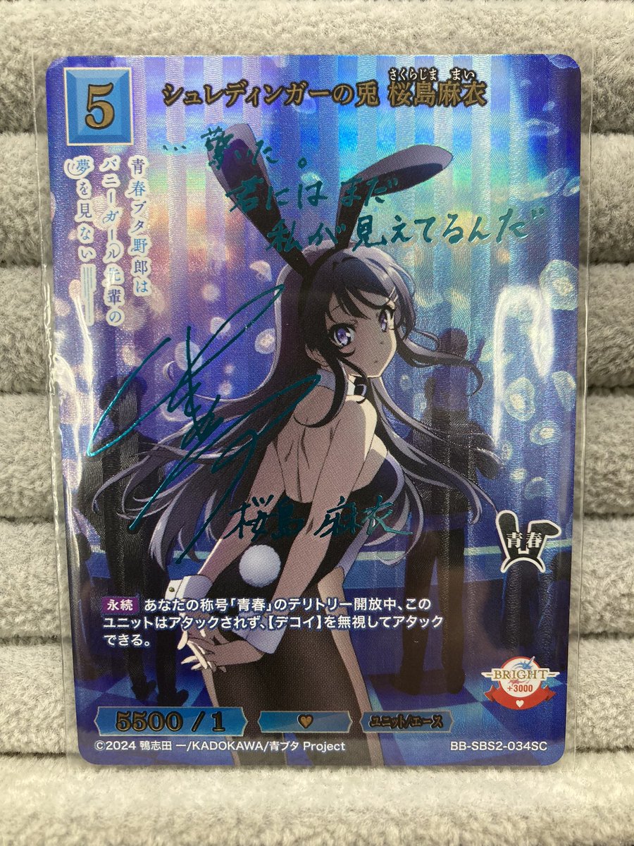 🎀【#ビルディバイドブライト 情報】🎀 ⭐「シュレディンガーの兎 桜島