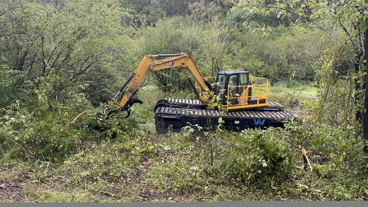 WetlandEquip's tweet image. Trimming some trees with a Cat 309
#brushcutter
#treetrimmer
#maintenance
#drainage
#dewatering
#waterway
#ROW
#infrastructure
#buggylife
#amphibious
#amphibiouslife
#amphibiousexcavator
#swampexcavator
#swamplife
#wetlandequip
@WetlandEquip 
wetlandequipment.com