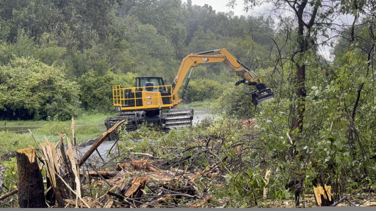 WetlandEquip's tweet image. Trimming some trees with a Cat 309
#brushcutter
#treetrimmer
#maintenance
#drainage
#dewatering
#waterway
#ROW
#infrastructure
#buggylife
#amphibious
#amphibiouslife
#amphibiousexcavator
#swampexcavator
#swamplife
#wetlandequip
@WetlandEquip 
wetlandequipment.com