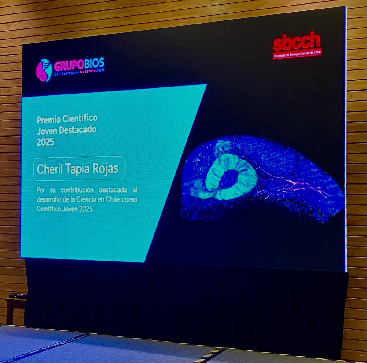 Sociedad de Biología Celular de Chile (SBCCh) tweet media