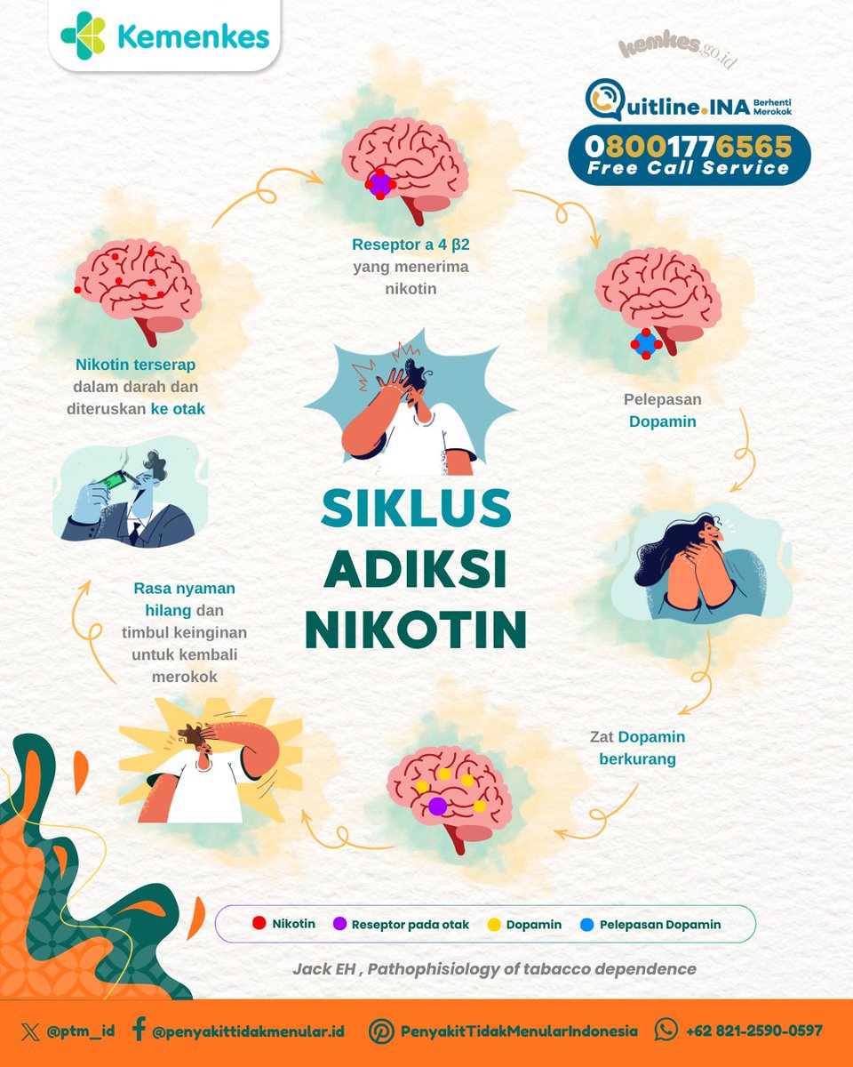 ptm_id's tweet image. Sobat Sehat, yuk ketahui bagaimana nikotin membuat tubuh kecanduan!

#CERDIK #CegahPTM #P2P #DukungGERMAS #KerenTanpaRokok #GaulTanpaNgebul #AmbilSikap #RokokElektronik #Vape #NoTobacco