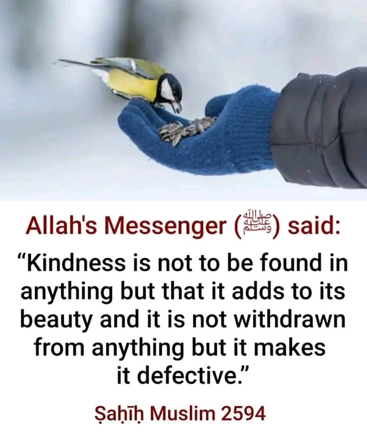 Kindness is not found in anything except it add to its beauty