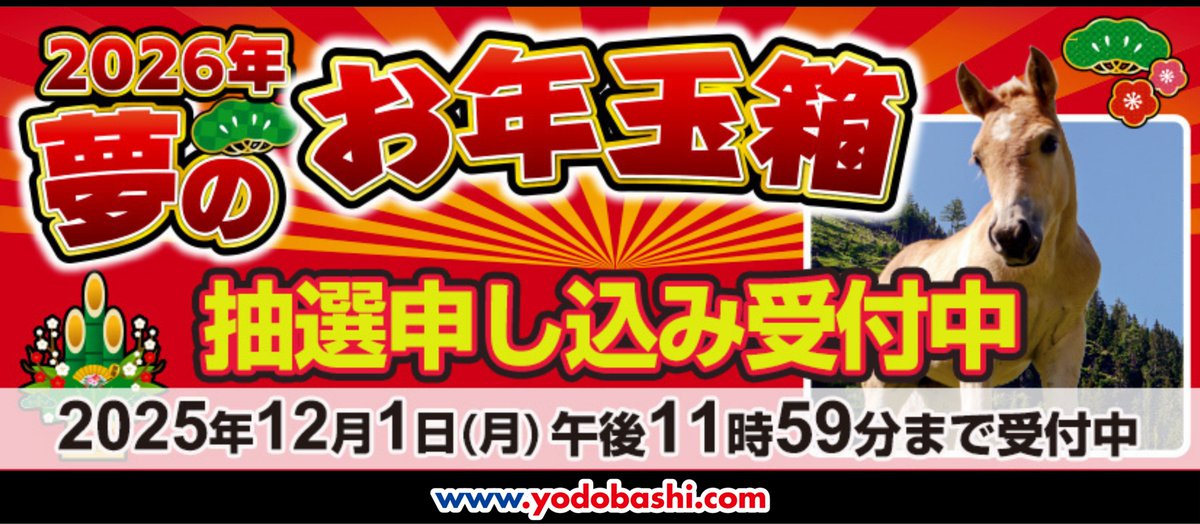 ヨドバシドットコム 2026年 夢のお年玉箱 抽選申し込み受付中