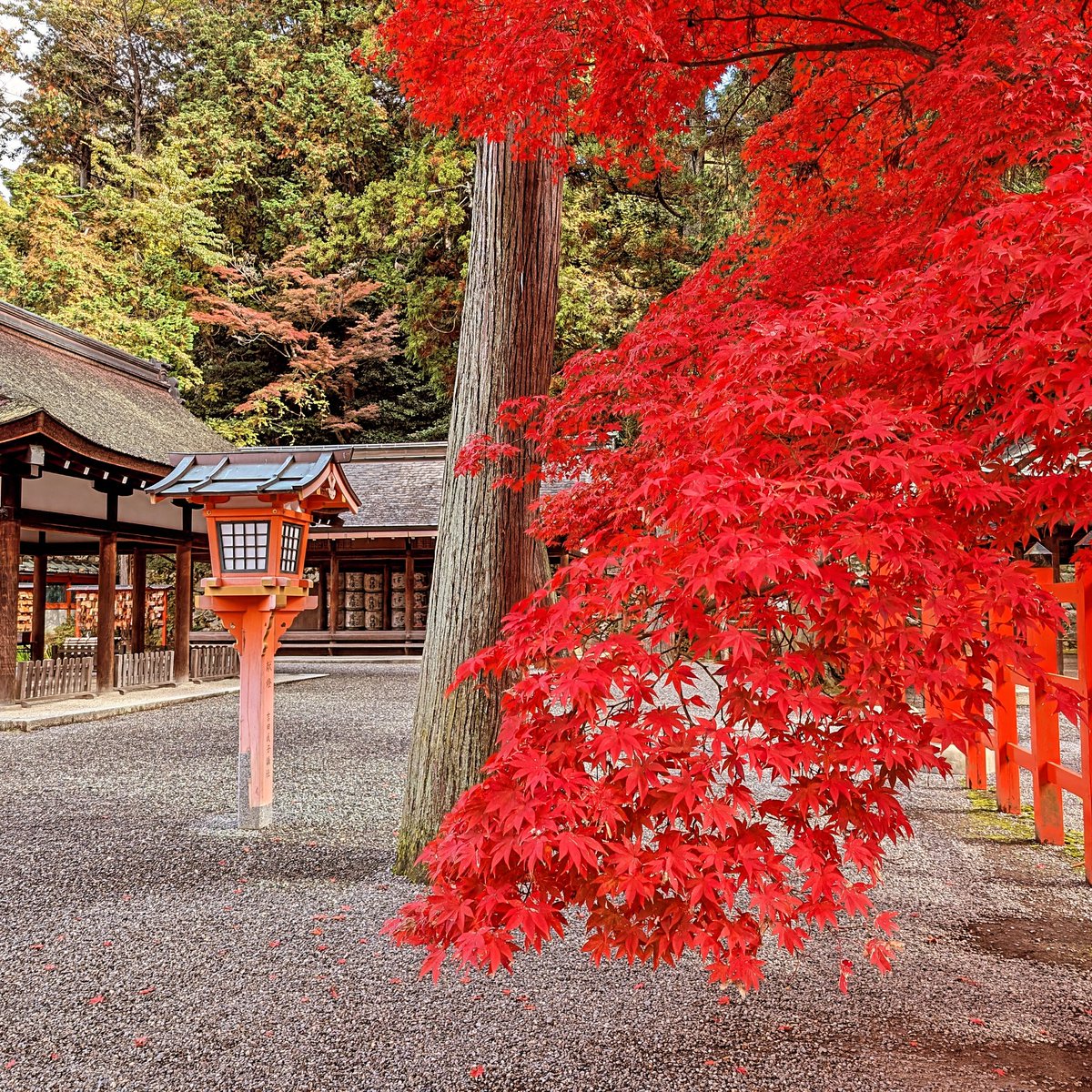 かな○かな (@kana0355) / Posts / X