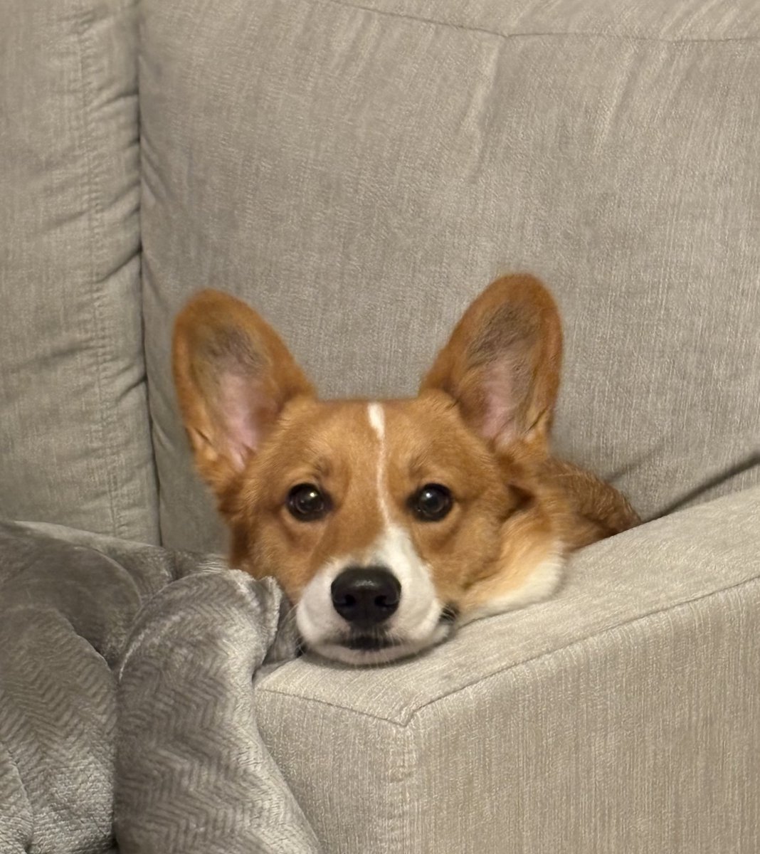 manamiho2's tweet image. 見るなよ