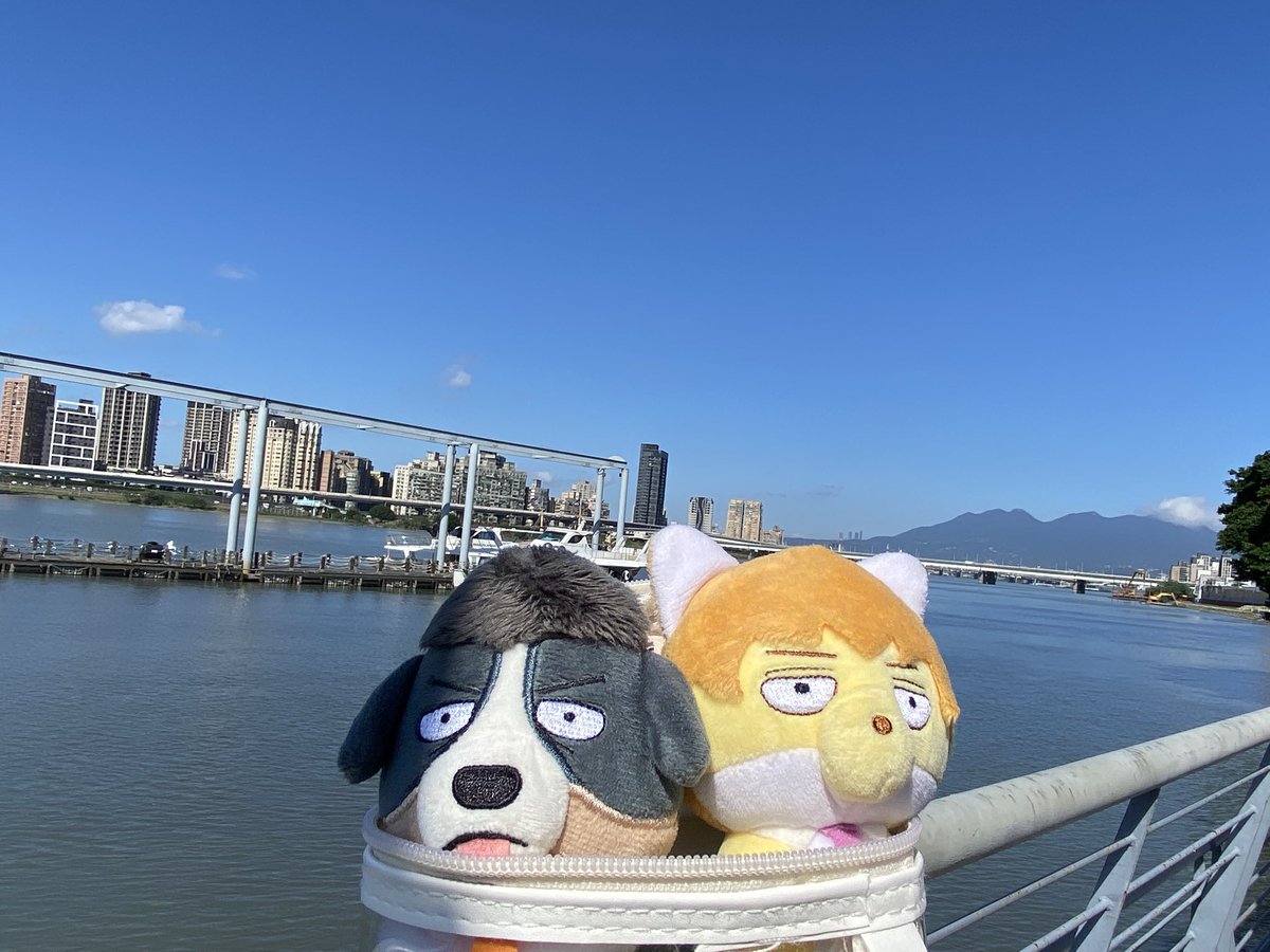 かぼちゃパンツ (@kabopan0714) / Posts / X