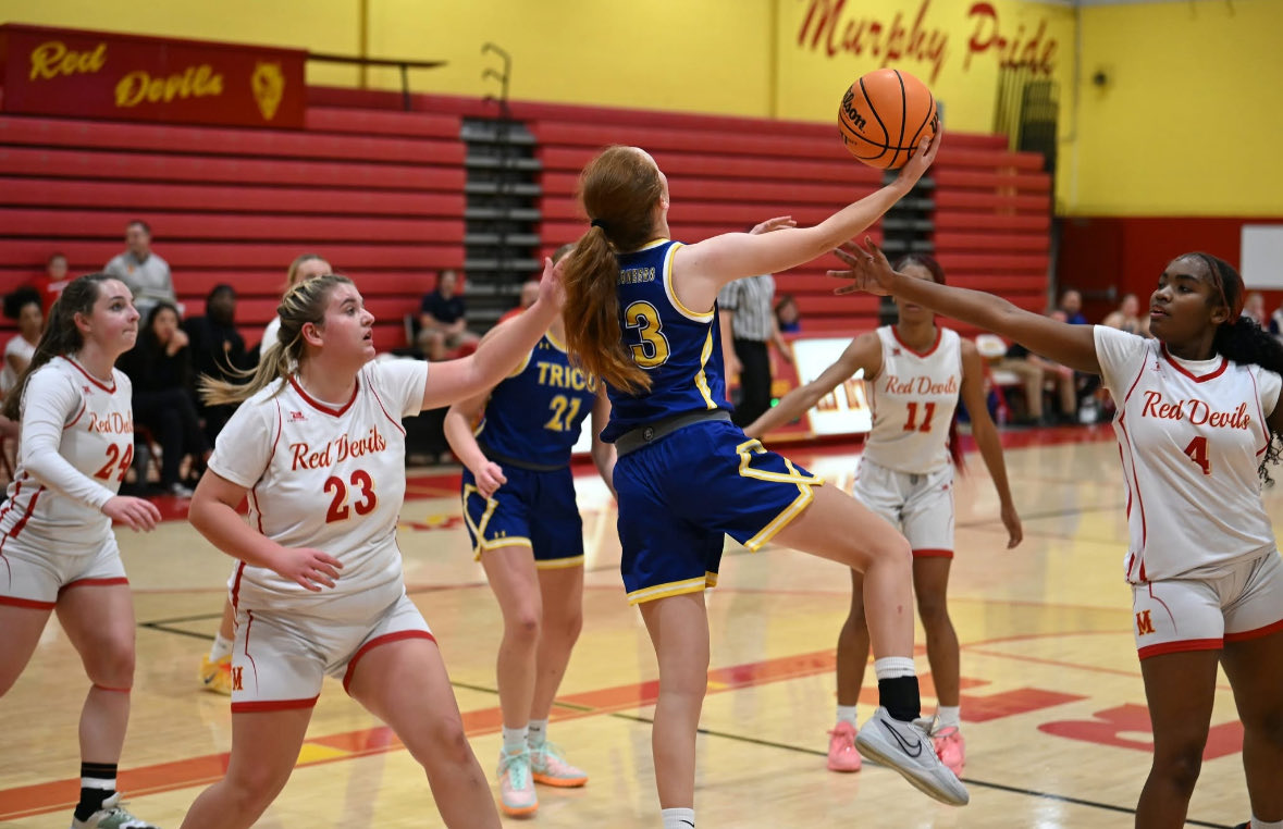 Larry Lovel tweet media