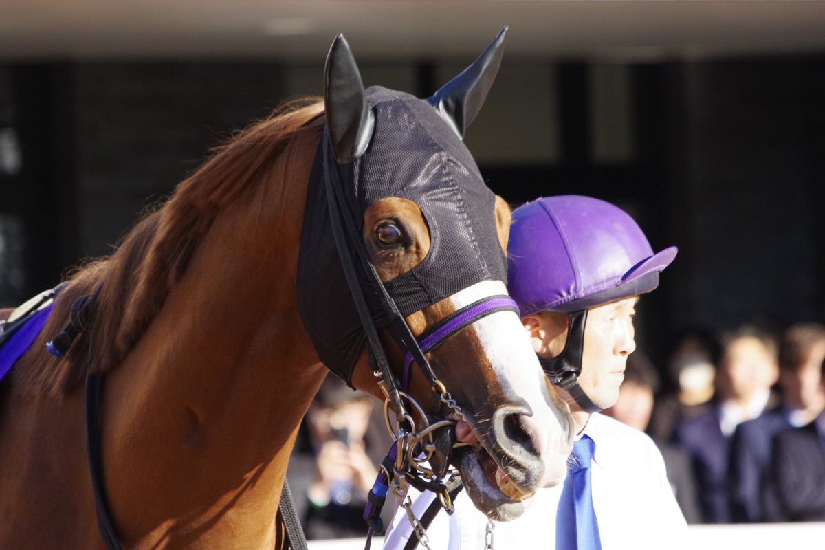 copen_banushi's tweet image. マカオのいない短距離レース、さびしくなるな🥹

#トウシンマカオ
#マイルCS