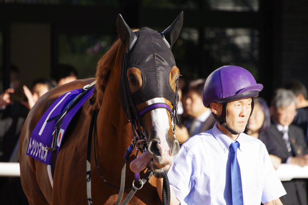 copen_banushi's tweet image. マカオのいない短距離レース、さびしくなるな🥹

#トウシンマカオ
#マイルCS