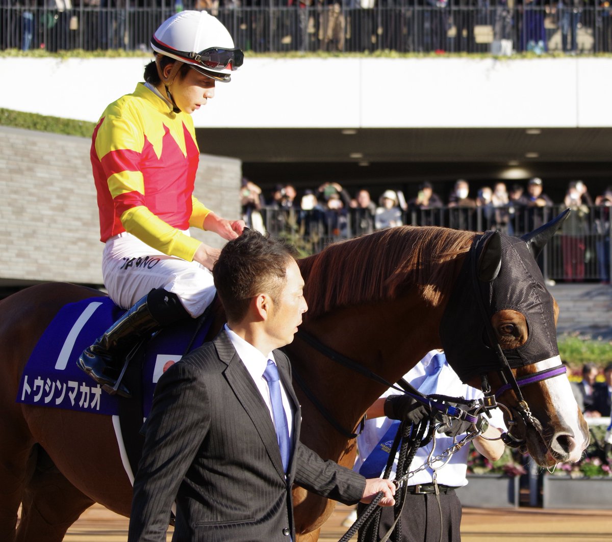 copen_banushi's tweet image. マカオのいない短距離レース、さびしくなるな🥹

#トウシンマカオ
#マイルCS