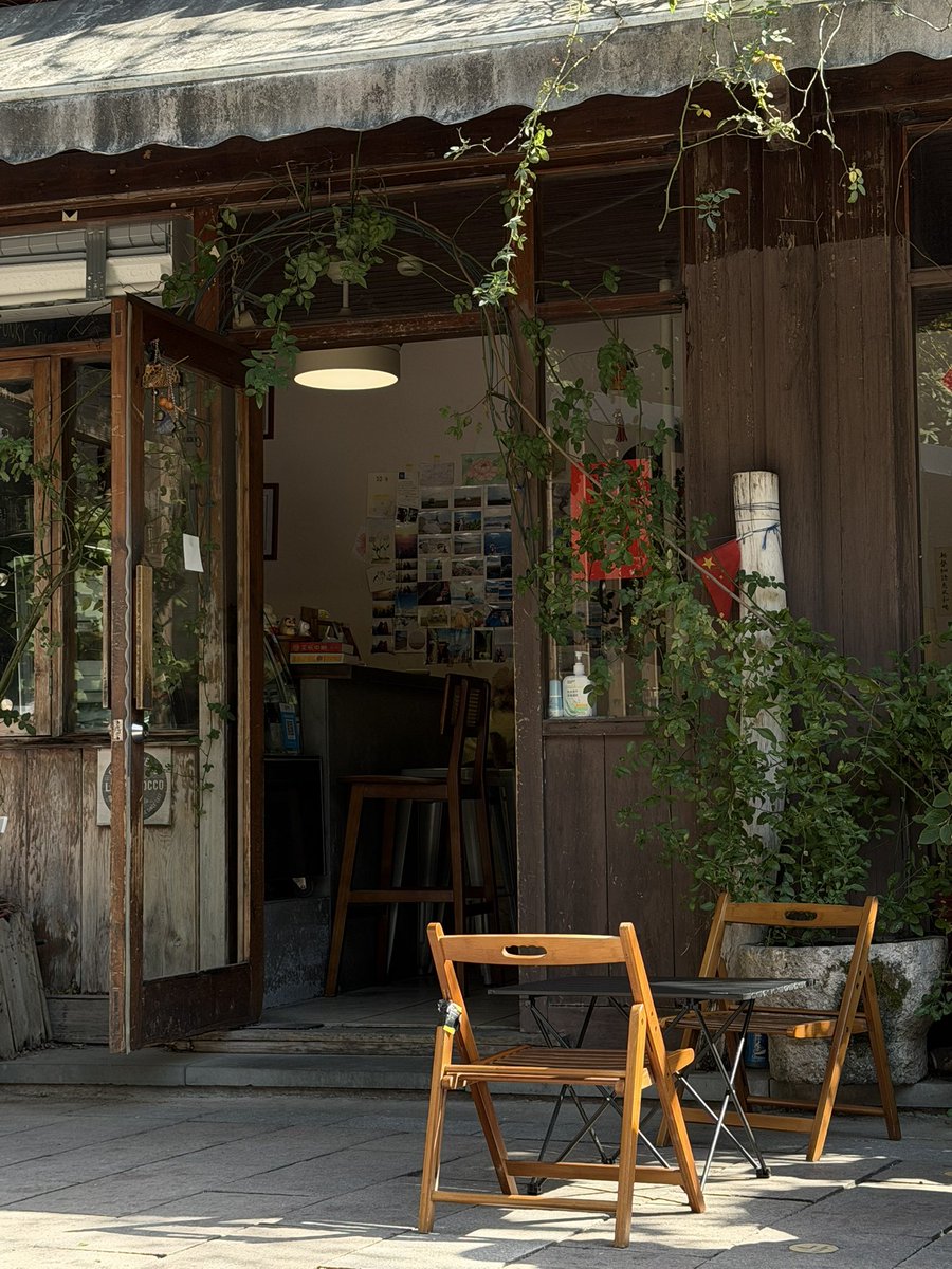 王老白 tweet media