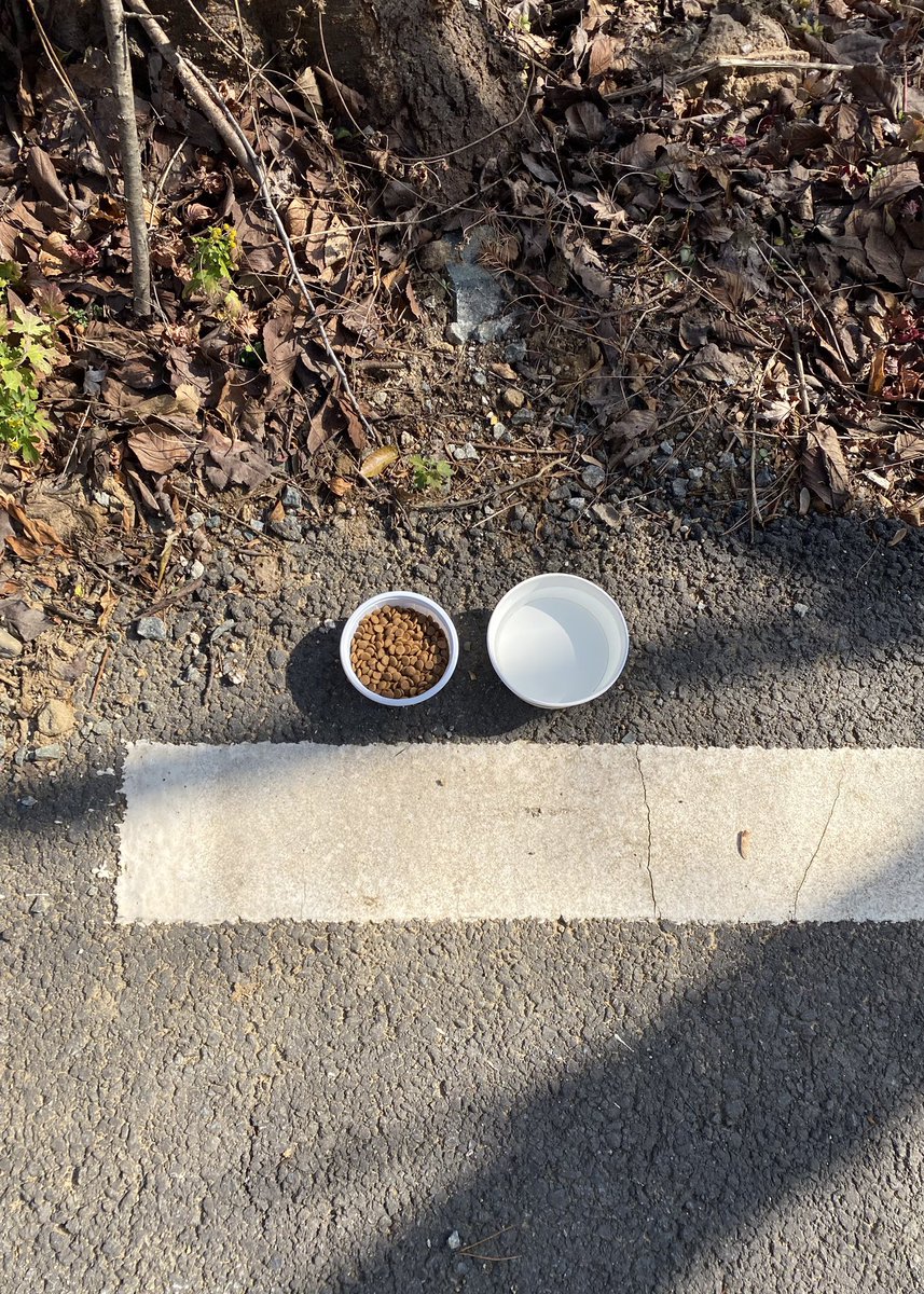 oldcomets's tweet image. 시골 일기