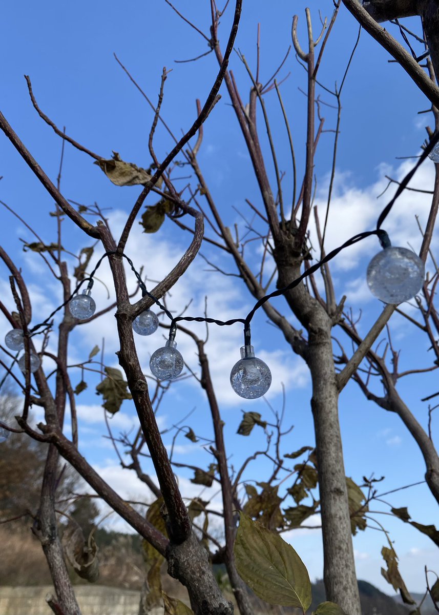 oldcomets's tweet image. 시골 일기