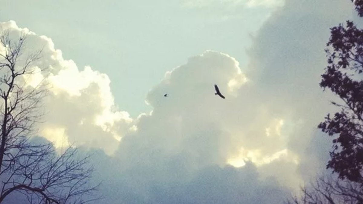 “…To proclaim liberty to the captives.”
~Luke 4:18

No one but Jesus can give deliverance to captives. Real liberty comes from Him alone. It is a liberty rightly granted; for the Son, who is Heir of all things, has a right to make men free.

The saints honor the justice of God,